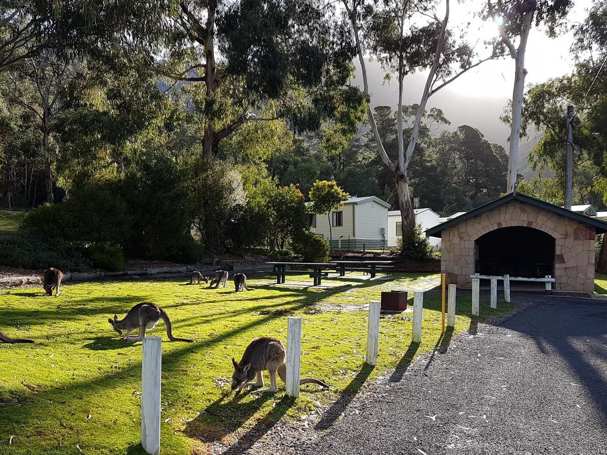 Breeze Holiday Parks - Halls Gap Bagian luar foto