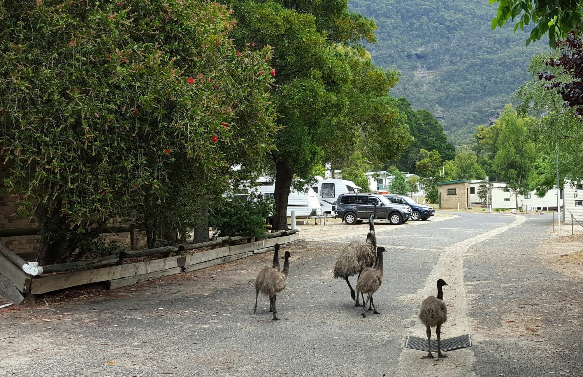 Breeze Holiday Parks - Halls Gap Bagian luar foto
